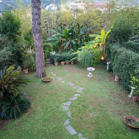 Apartment Casa Walcher *